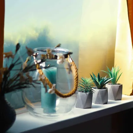 Tulpenhuys Alpehytte